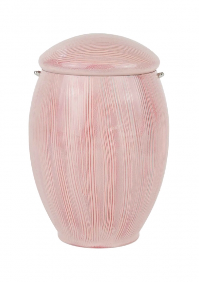 Tulipano 10