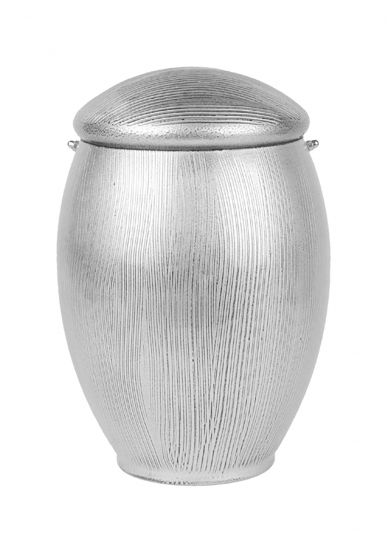 Tulipano 11