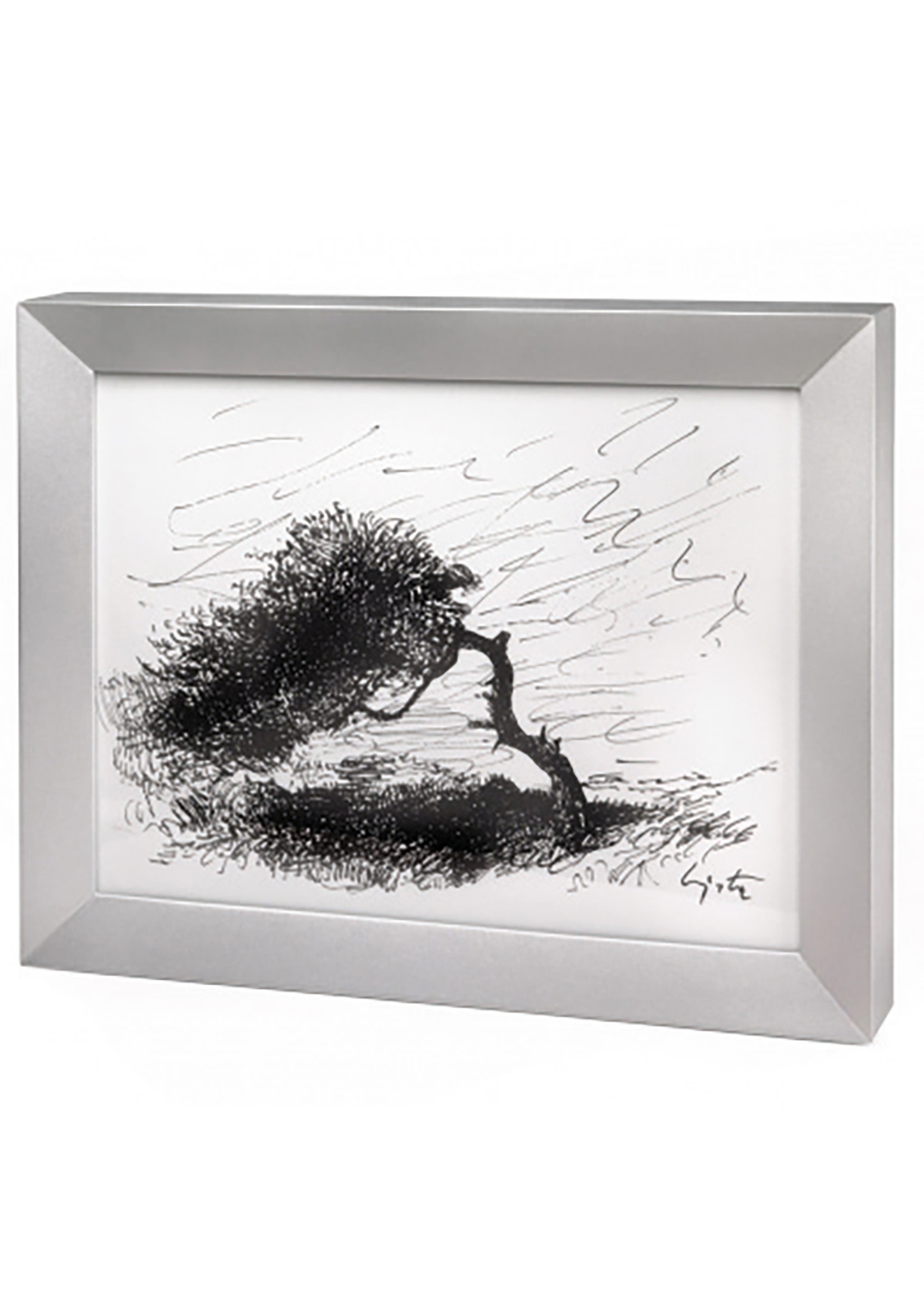 Albero della vita 02 Quadro Albero della vita 02 Quadro